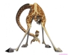 madagascar-23.jpg