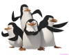 Filename=madagascar-35.jpg
Filesize=110KB
Dimensions=1400x1120
Date added=May 05, 2007 madagascar-35.jpg