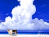 makoto_shinkai-05.jpg
