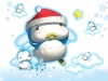 pingki-penguin-11.jpg