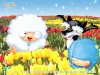 sheepo-14.jpg