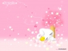 cartoon-rabbit-06.jpg