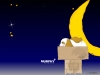 Filename=murphy_06).jpg
Filesize=63KB
Dimensions=1024x768
Date added=May 05, 2007 murphy_06).jpg