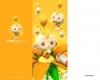 viva-graphics-13.jpg