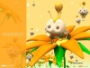 viva-graphics-14.jpg