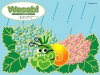 wasabi-07.jpg