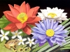 birds-n-flowers-19.jpg