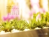 calendars-18.jpg