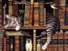 cats-09.jpg