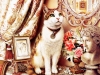 cats-11.jpg