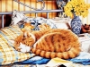 cats-12.jpg