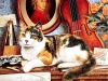 cats-13.jpg