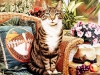 cats-15.jpg