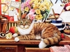 cats-17.jpg