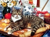 cats-20.jpg