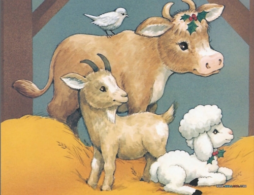 Click to view full size image