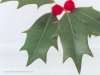 christmas-7-010.jpg