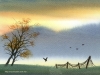 dreamland-21.jpg