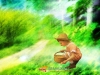 dreams-005.jpg