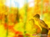 dreams-011.jpg