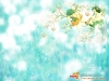 dreams-012.jpg