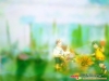 dreams-013.jpg