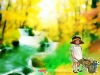 dreams-014.jpg