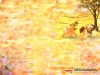 dreams-021.jpg