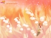 dreams-043.jpg