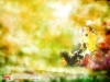 dreams-045.jpg