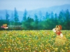 dreams-047.jpg
