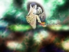 dreams-052.jpg