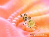 dreams-063.jpg