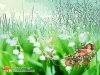 dreams-072.jpg