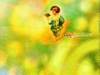 dreams-075.jpg