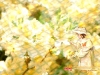 dreams-080.jpg