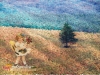 dreams-081.jpg