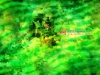 dreams-088.jpg