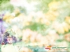 dreams-089.jpg
