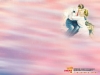 dreams-124.jpg