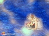 dreams-133.jpg