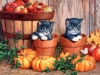 halloween-10.jpg