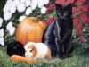 halloween-11.jpg