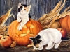halloween-15.jpg