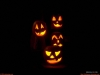 Filename=halloween-2-40.jpg
Filesize=48KB
Dimensions=1024x768
Date added=May 06, 2007 halloween-2-40.jpg