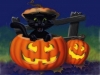 halloween-3-030.jpg
