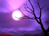 halloween-4-067.jpg