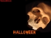 halloween-4-077.jpg