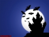 halloween-4-087.jpg