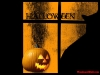 Filename=halloween-4-095.jpg
Filesize=214KB
Dimensions=1024x768
Date added=May 27, 2007 halloween-4-095.jpg